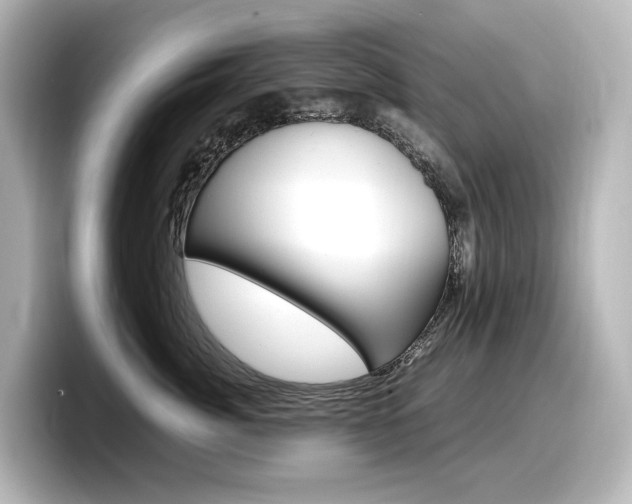 X0000098190764200804241051