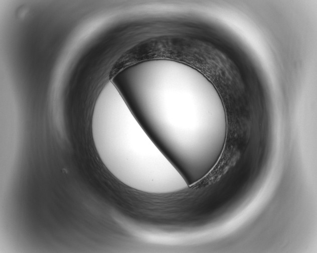 X0000098190766200804241051