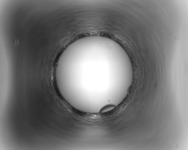 X0000098190768200804241051
