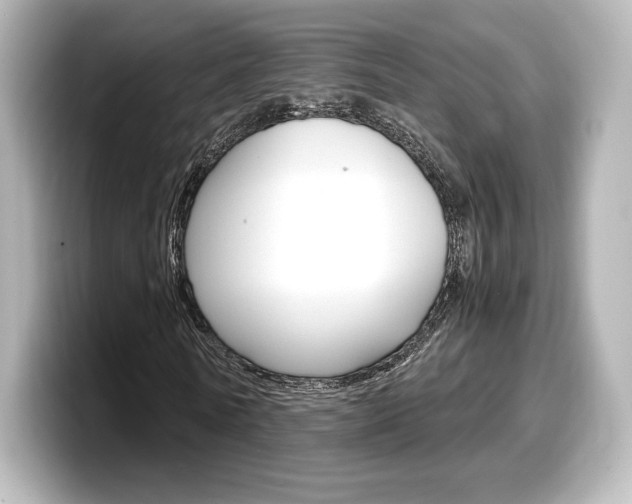 X0000098190770200804241050