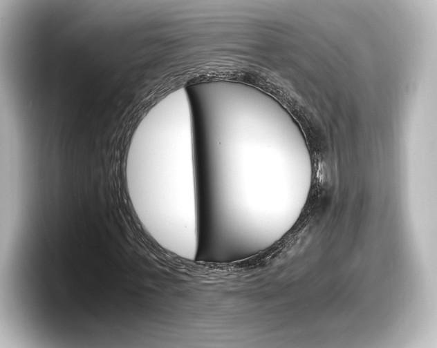 X0000098190771200804241050