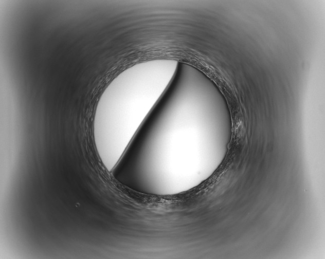 X0000098190772200804241050