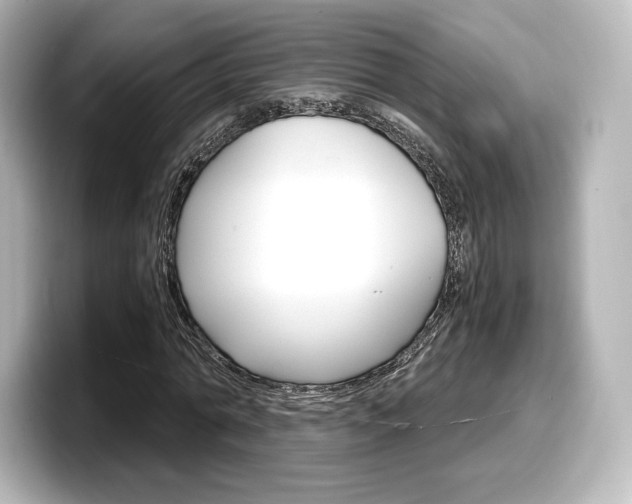 X0000098190774200804241050
