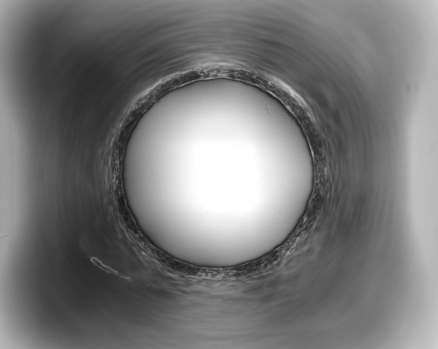 X0000098190775200804241050