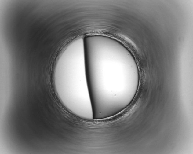 X0000098190777200804241050