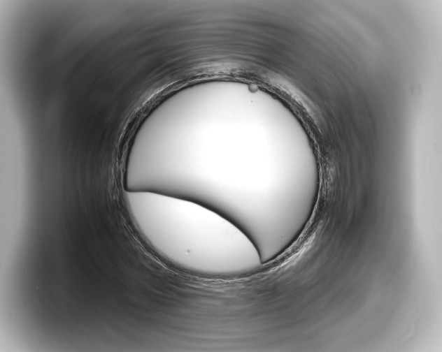 X0000098190778200804241050