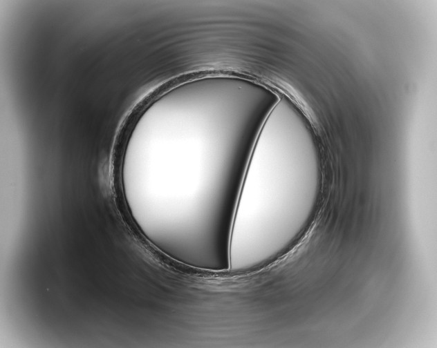 X0000098190780200804241050
