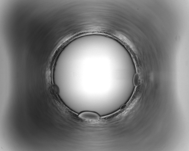 X0000098190781200804241050