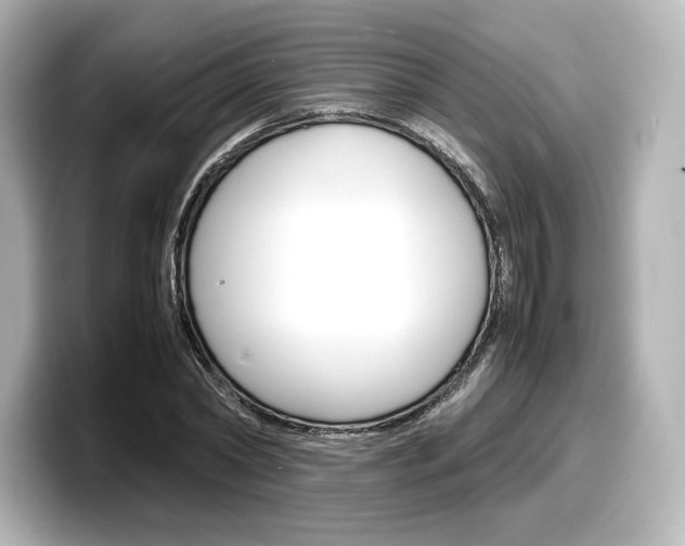 X0000098190782200804241050