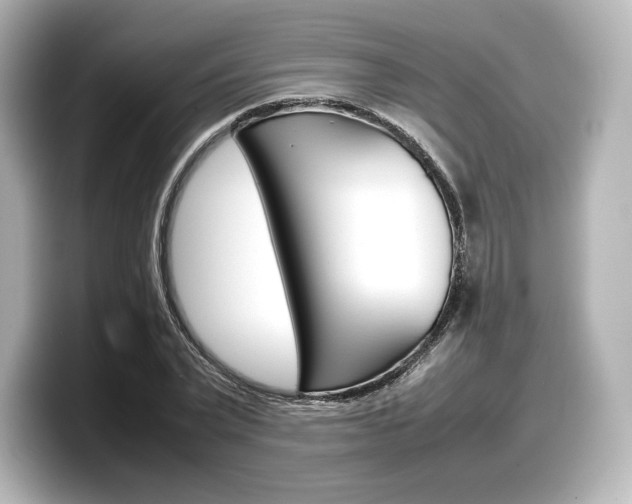 X0000098190783200804241050
