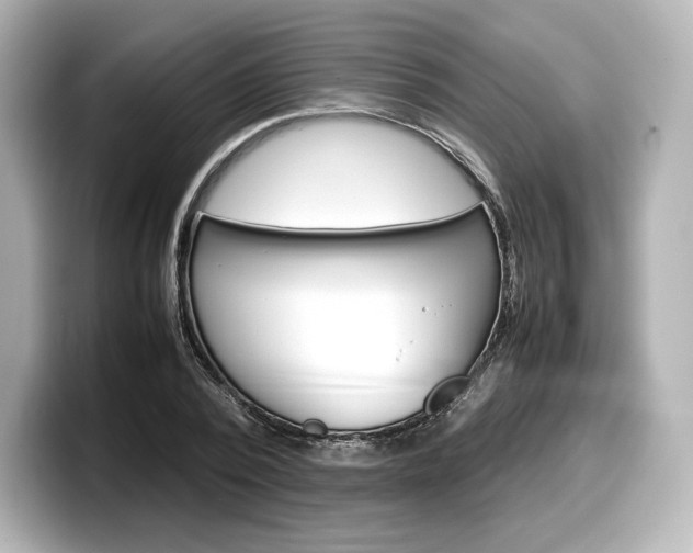 X0000098190784200804241050