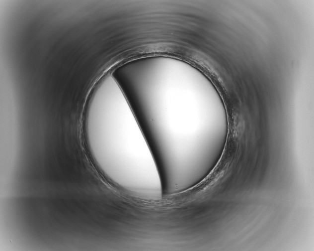 X0000098190786200804241050