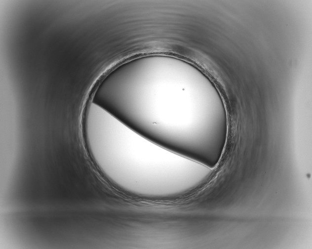 X0000098190789200804241050