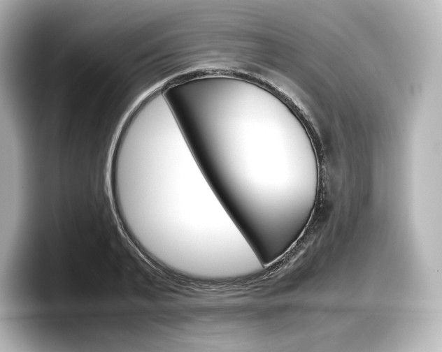 X0000098190791200804241050