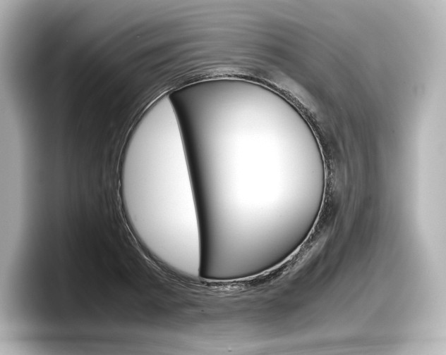X0000098190793200804241050
