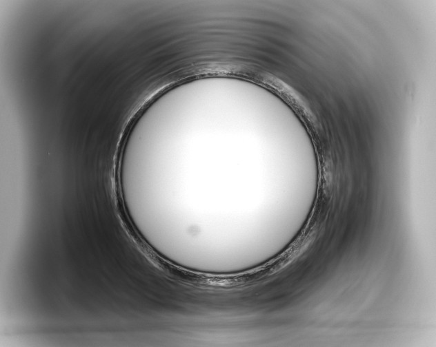 X0000098190794200804241050