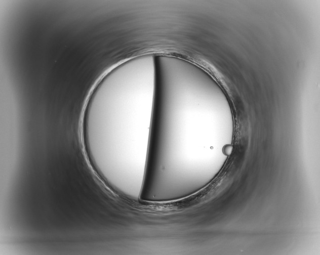 X0000098190795200804241050