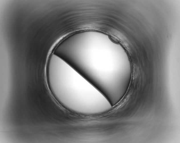 X0000098190796200804241050