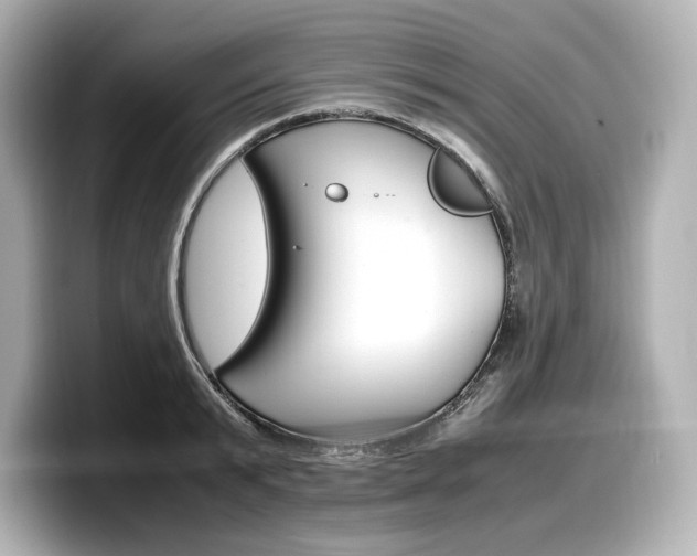 X0000098190799200804241050