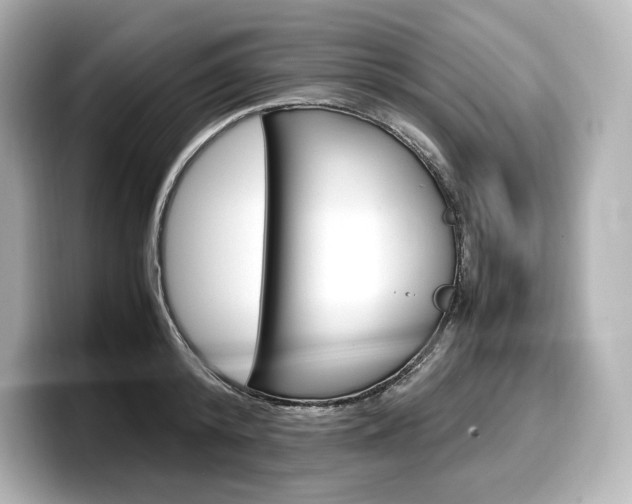 X0000098190800200804241050