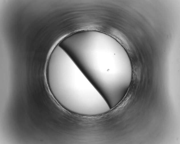 X0000098190804200804241050