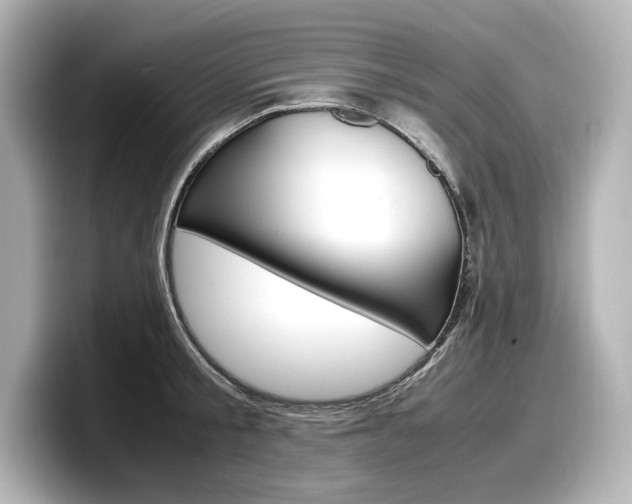 X0000098190805200804241050
