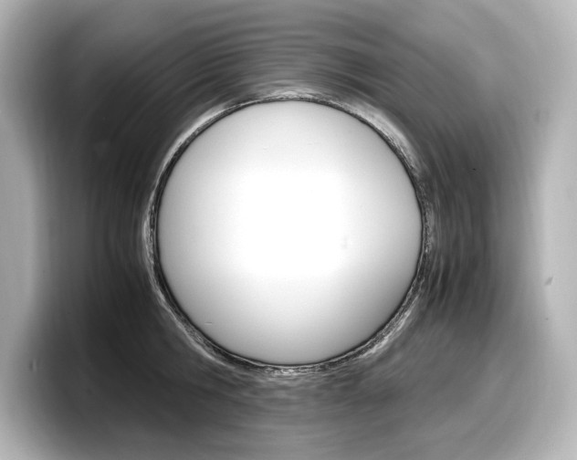 X0000098190806200804241050