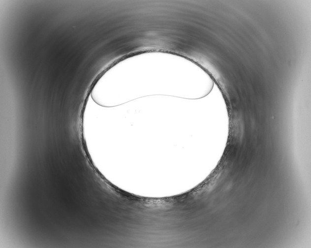 X0000098190807200804241050