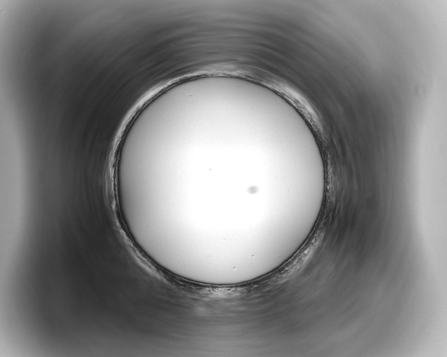 X0000098190808200804241050