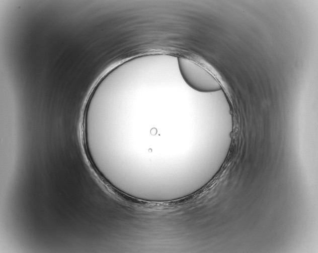X0000098190811200804241050