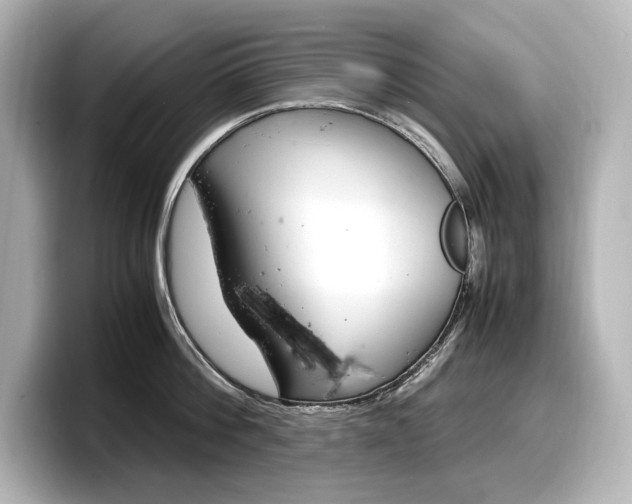 X0000098190812200804241050