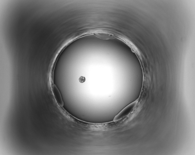 X0000098190813200804241050