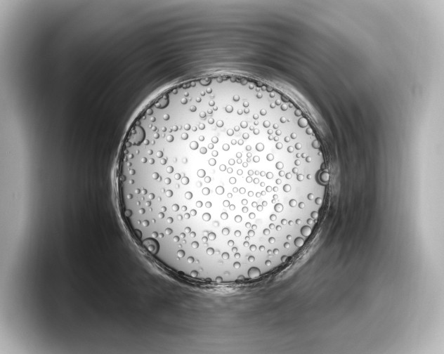 X0000098190814200804241050