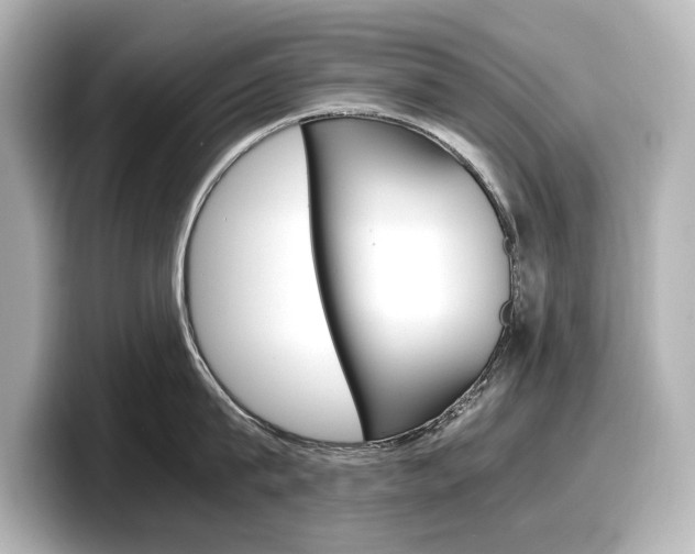 X0000098190815200804241050