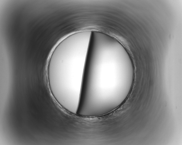 X0000098190816200804241049