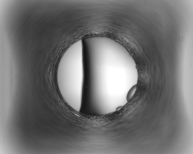 X0000098190817200804241049