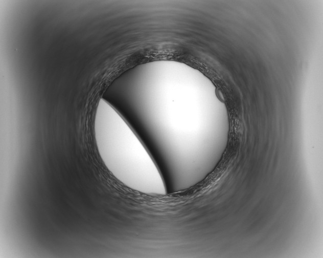 X0000098190818200804241049