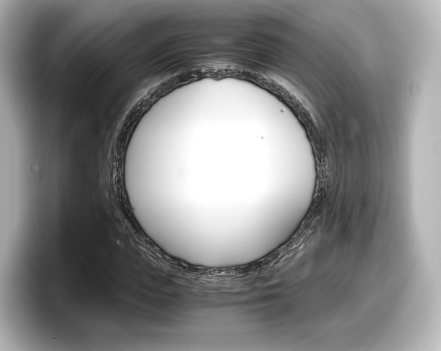 X0000098190823200804241049