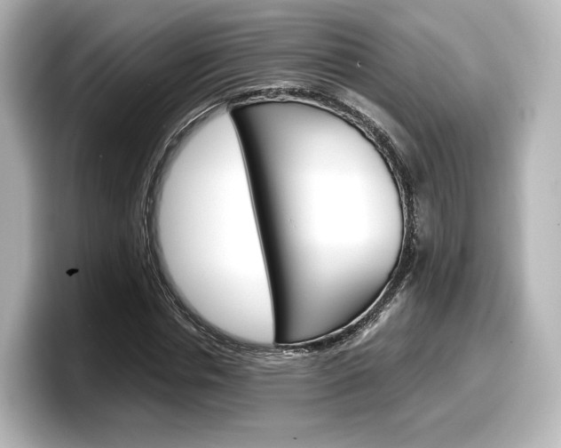 X0000098190826200804241049
