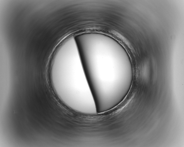 X0000098190829200804241049