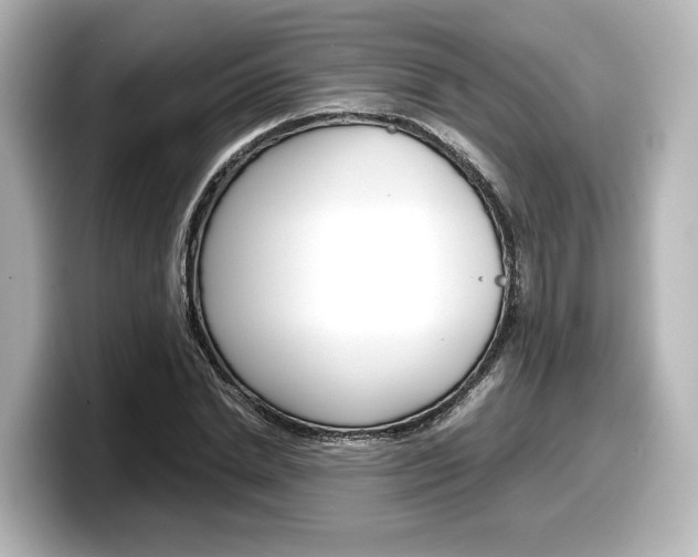 X0000098190830200804241049
