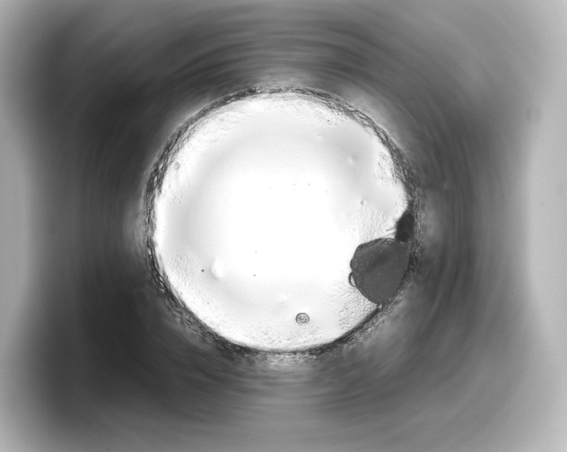 X0000098190832200804241049