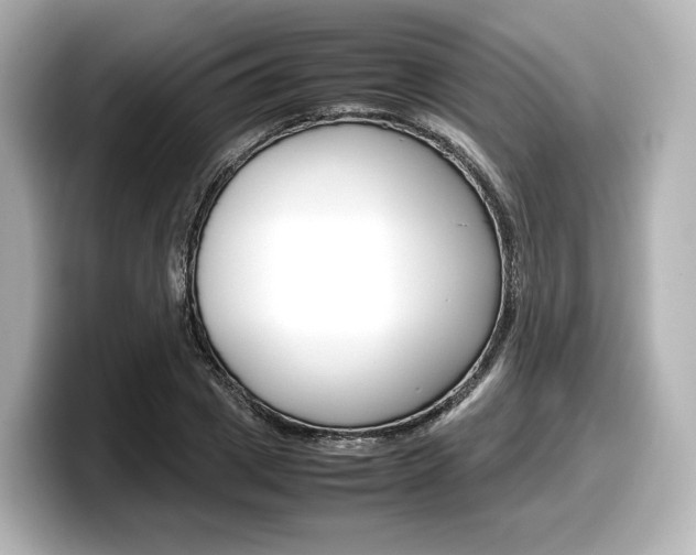X0000098190833200804241049