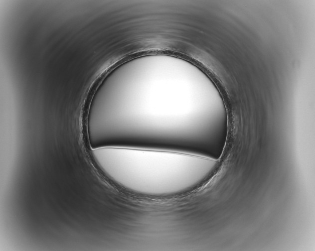 X0000098190834200804241049
