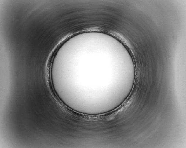 X0000098190835200804241049