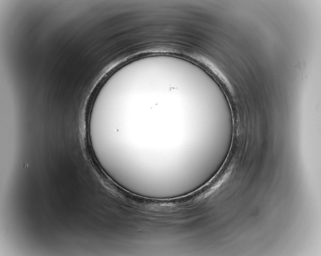 X0000098190837200804241049