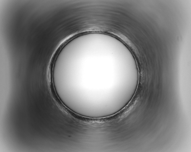 X0000098190838200804241049