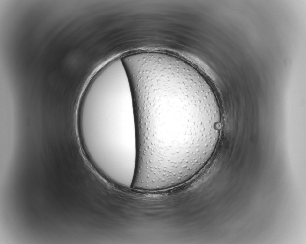 X0000098190839200804241049
