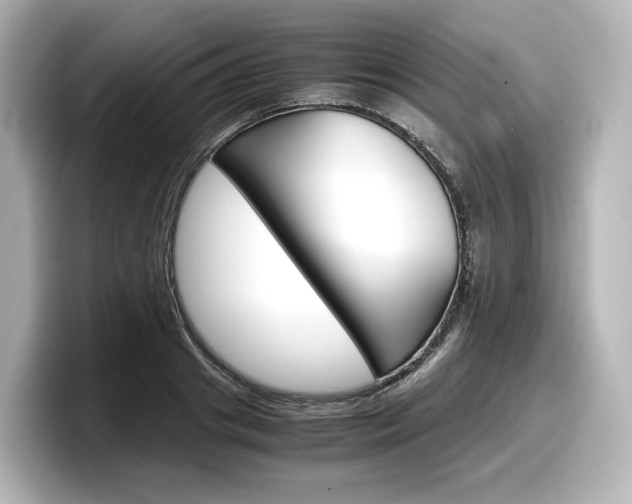 X0000098190841200804241049