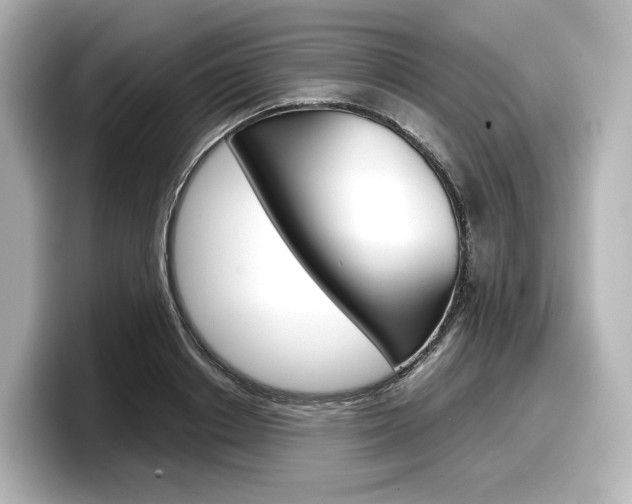 X0000098190842200804241049